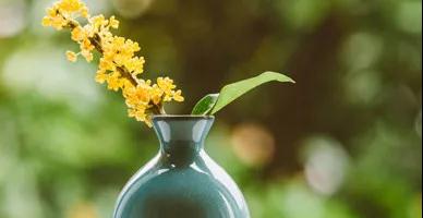 深秋桂花香，酥薄月飄香不僅在中秋