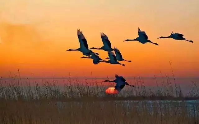  寒露將至，溫暖猶在!